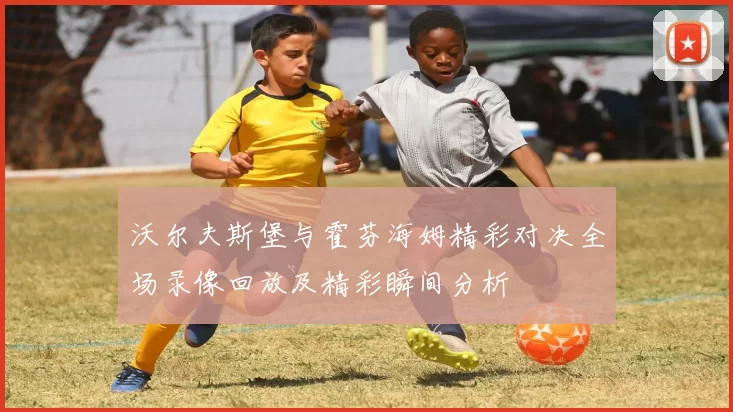 沃尔夫斯堡与霍芬海姆精彩对决全场录像回放及精彩瞬间分析