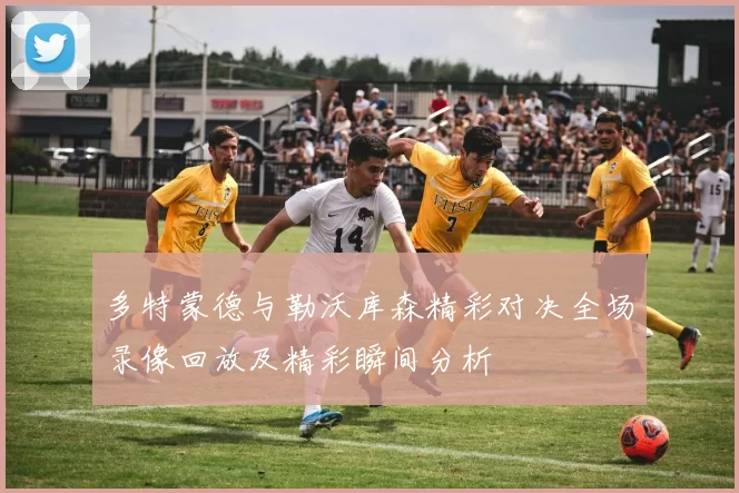 多特蒙德与勒沃库森精彩对决全场录像回放及精彩瞬间分析