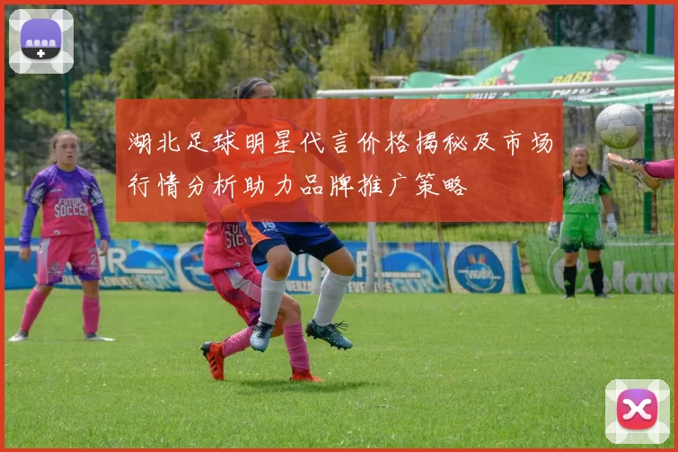 湖北足球明星代言价格揭秘及市场行情分析助力品牌推广策略