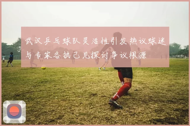 武汉乒乓球队灵活性引发热议球迷与专家各执己见探讨争议根源