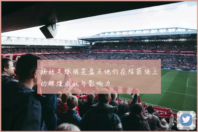 杨姓足球明星盘点他们在绿茵场上的辉煌成就与影响力