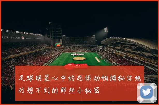 足球明星心中的恐惧动物揭秘你绝对想不到的那些小秘密