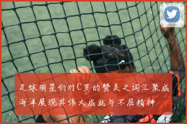 足球明星们对C罗的赞美之词汇聚成海洋展现其伟大成就与不屈精神