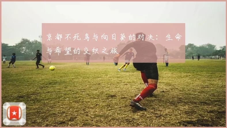 京都不死鸟与向日葵的对决：生命与希望的交织之旅
