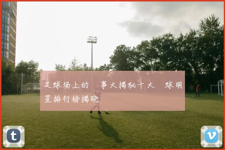 足球场上的囧事大揭秘十大囧球明星排行榜揭晓