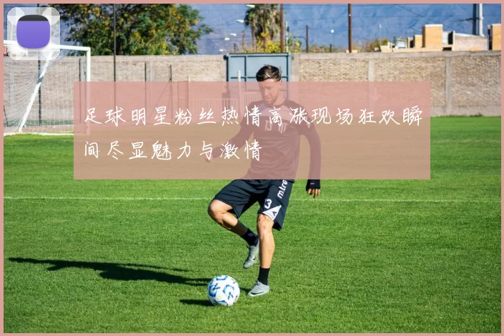 足球明星粉丝热情高涨现场狂欢瞬间尽显魅力与激情